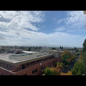 Meet your Posher, Mischa